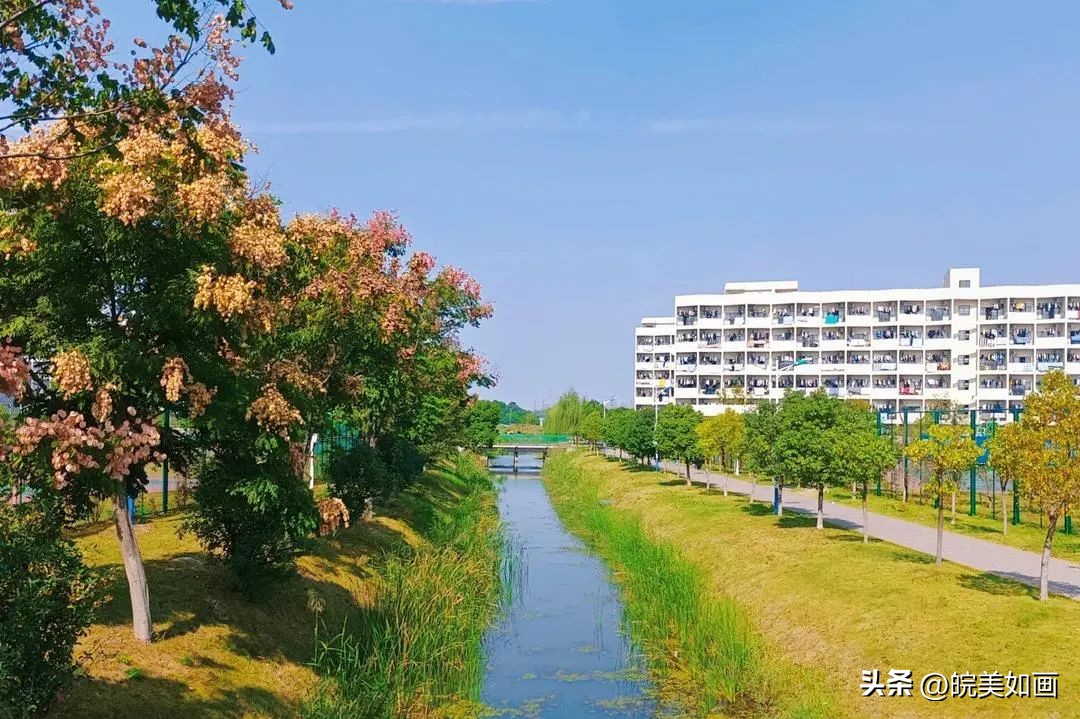 安徽大学好看的风景,高校最美秋景