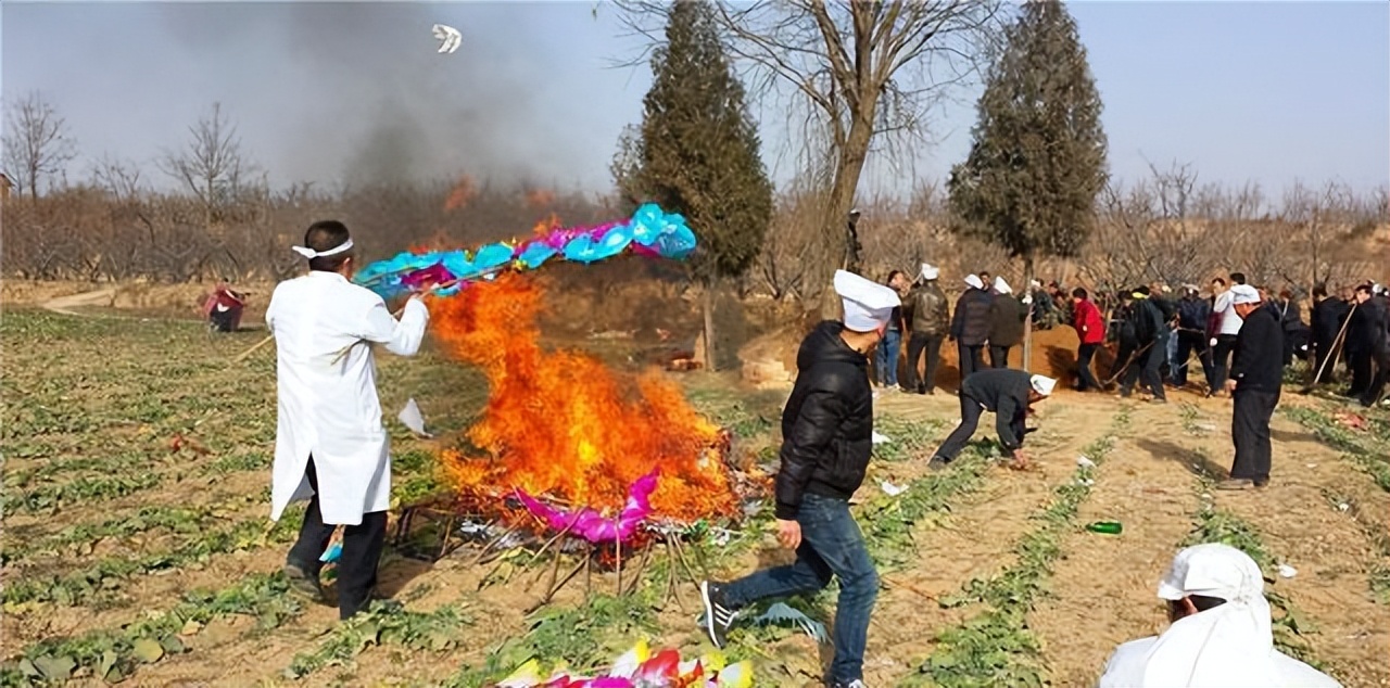 人死火化是浪费资源？动物死了进入生态循环，人类却打破自然规律