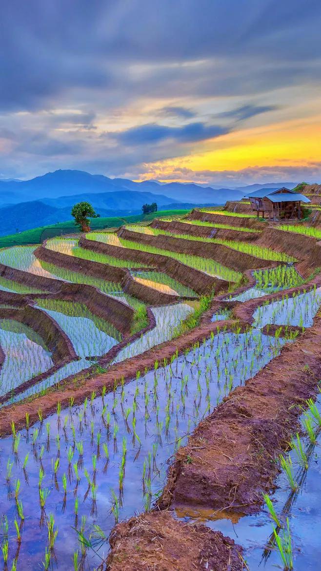 最惊艳的自然风景手机壁纸超清,风景壁纸动态壁纸高清全屏90帧