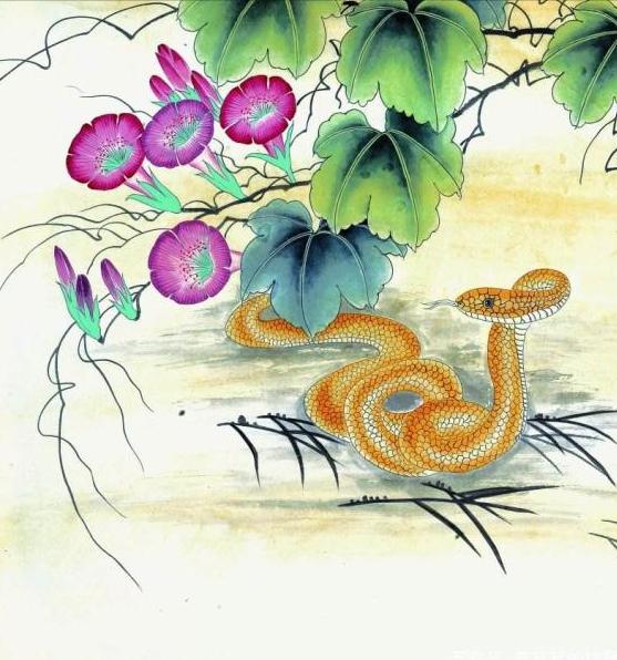 海南巨蟒为报恩甘愿当保姆,两名男子救下巨蟒