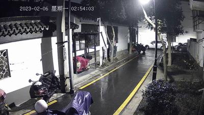 江苏偷猫事件,偷猫人被抓新闻