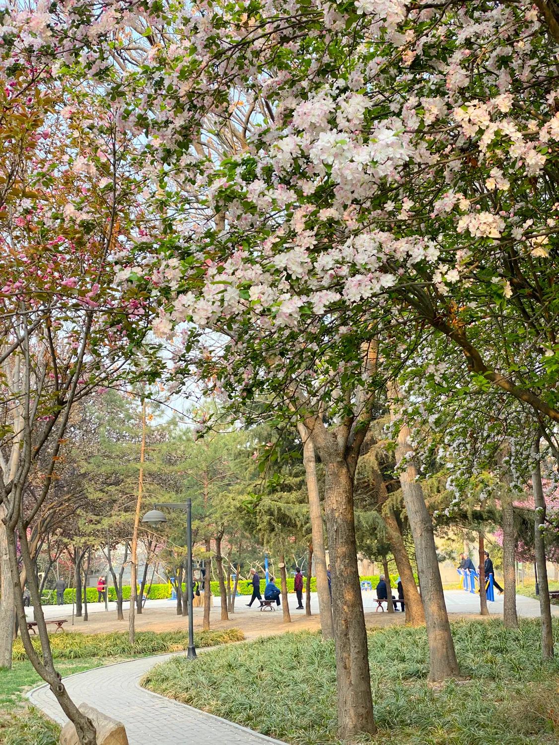 老年人运动应遵循的原则不包括,老年人运动要循序渐进不要过多