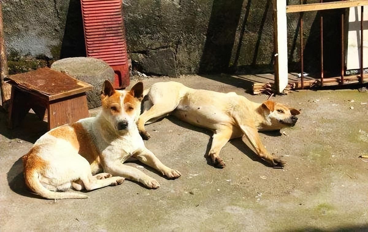 7个闺蜜花400万造房一起养老,5个闺蜜200万同居养老