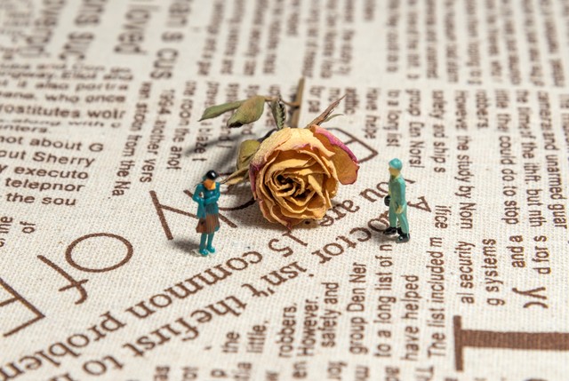 巧记英语单词的方法,如何背记英语单词