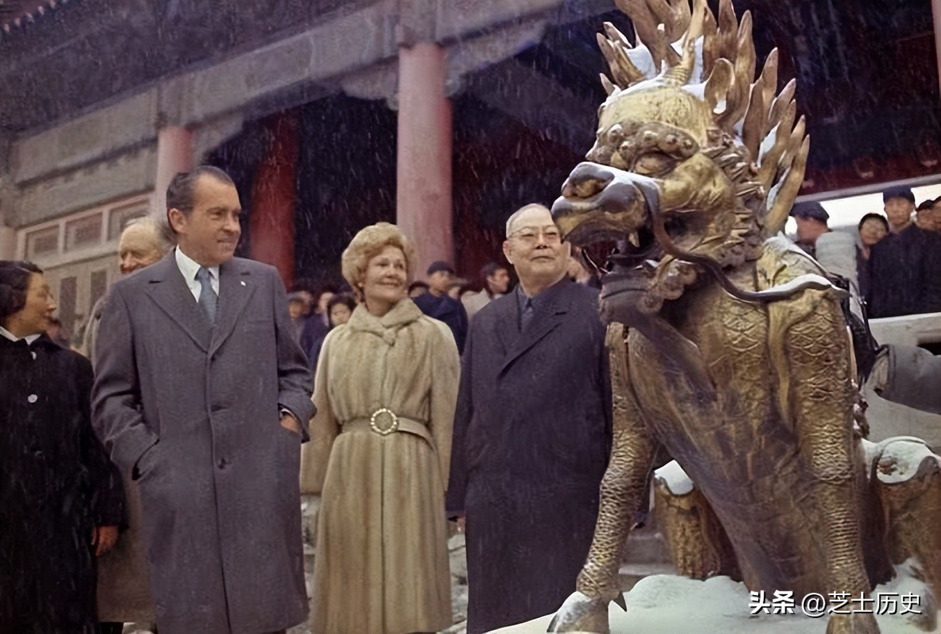 大熊猫乐乐事件全过程,大熊猫乐乐为什么会死亡