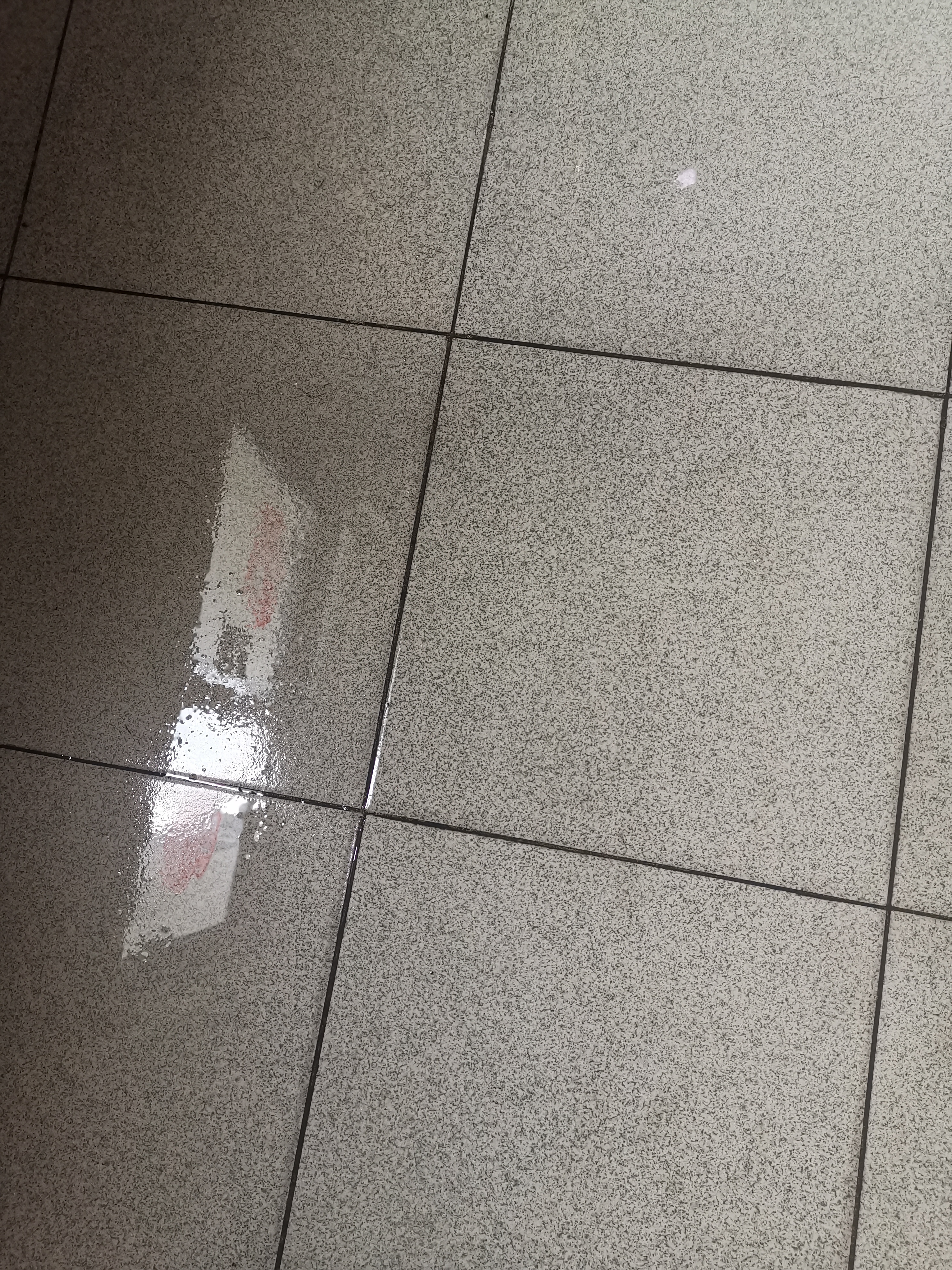 南方人倒春寒北方人不知道回南天,北方的春天总是在倒春寒中度过