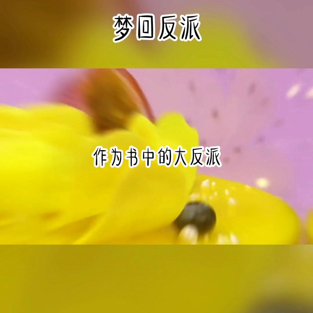 小说免费听,小说狐仙