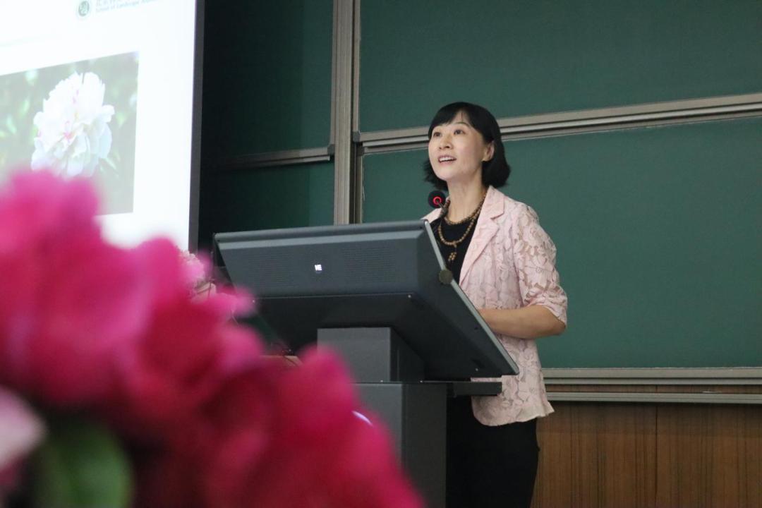 给最爱的Ta，送芍药还是玫瑰？