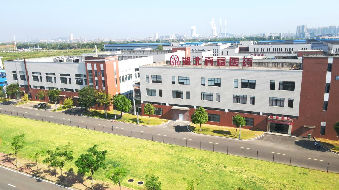 “我的愿景，是让国人多活十年”——武汉大学生命科学学院教授、博导王业富40年科技成果转化之路