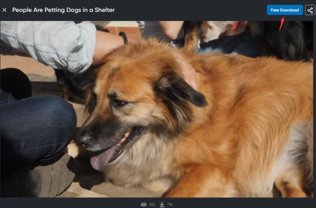 今天给大家分享提供无版权图片和视频素材的网站