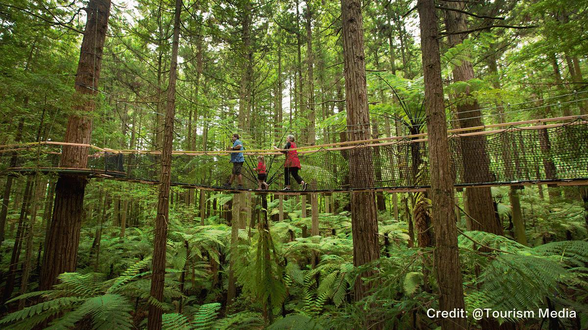 12星座配对预估,12星座配对连线