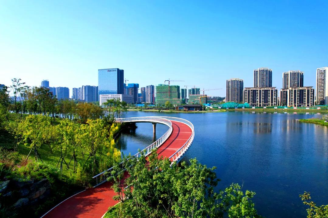 泸州销售数据11月,泸州11月楼市销售排行