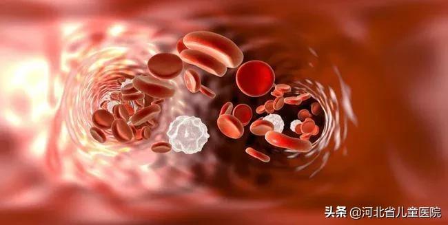 警惕“三高”之外的第四“高”