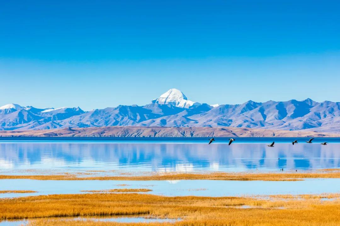 西北十大旅行攻略,西藏自驾游一日游攻略