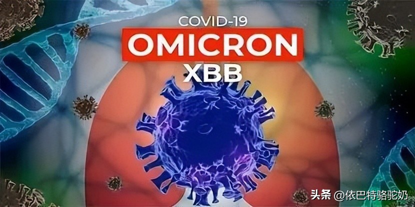 喝益生菌驼奶粉腹泻怎么办,腹泻怎么恢复肠道益生菌