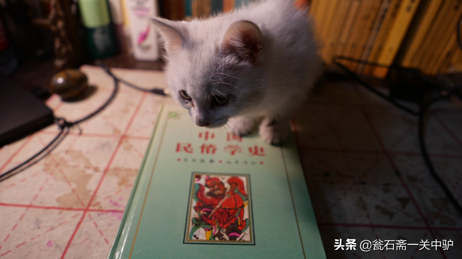 中国民俗学史,通读中国历史需要选哪本书