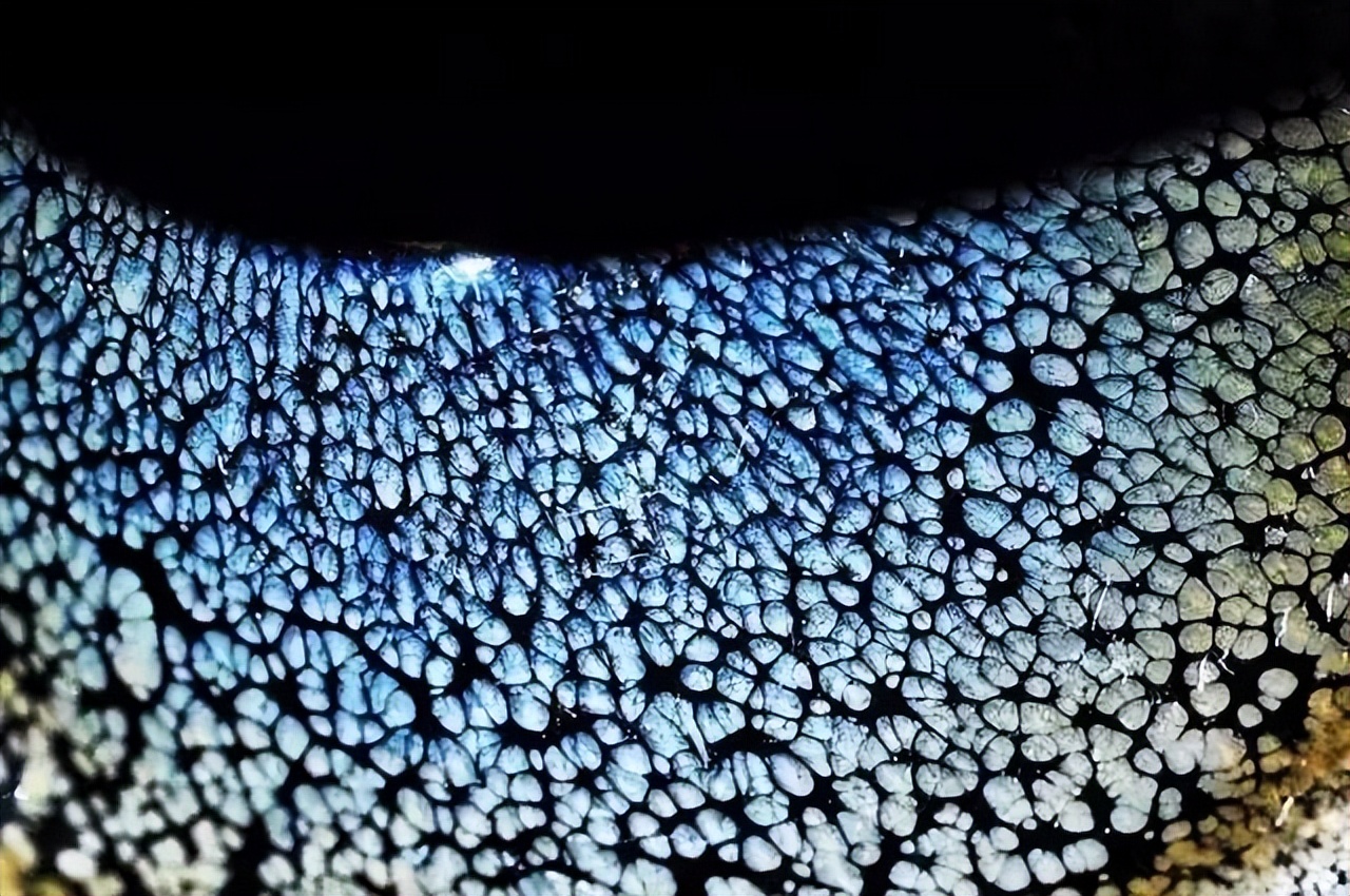 世界上最稀少的茶盏,中国八大窑茶盏