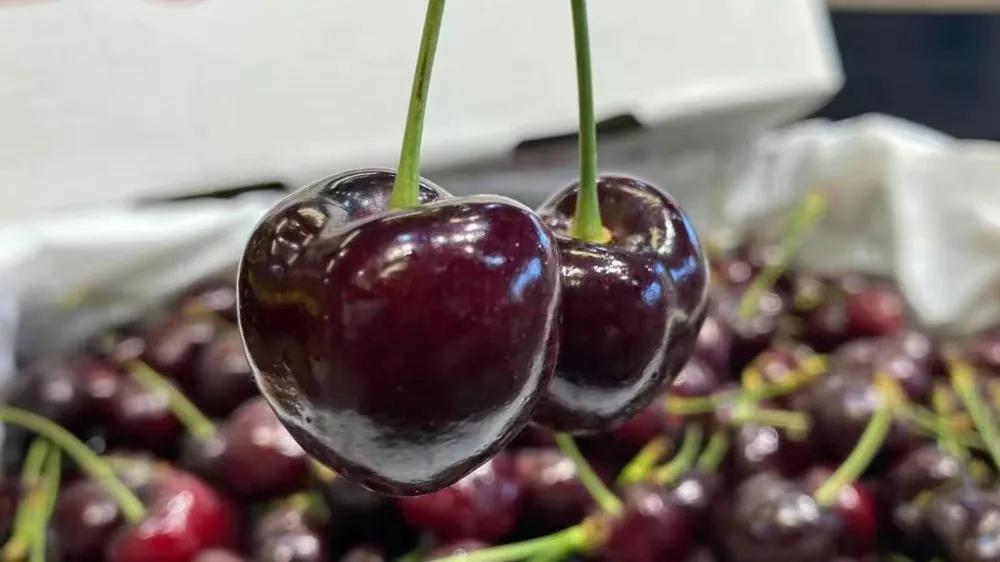 新开水果店要进多少钱水果,果蔬水果店的利润有多少