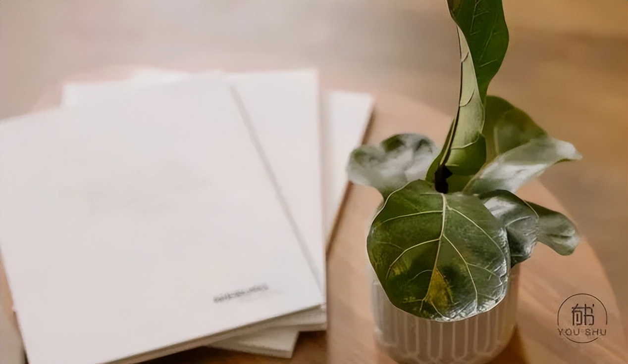 月亮与六便士的经典语录及感悟,《月亮与六便士》十句经典语录