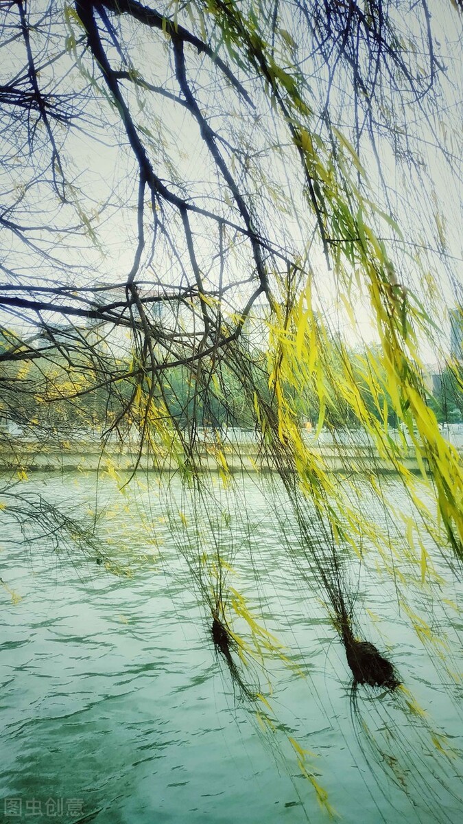 风吹杨柳万千条打一动物,风吹杨柳万千条解析