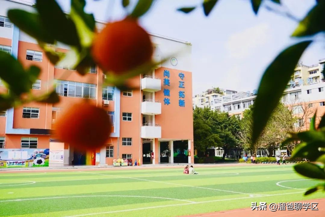 小学初中一定要好好规划,居住条件怎么改善