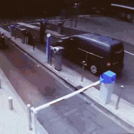 “是小蛇出了轨，还是青蛙劈了腿？”这是现实版的美杜莎？哈哈