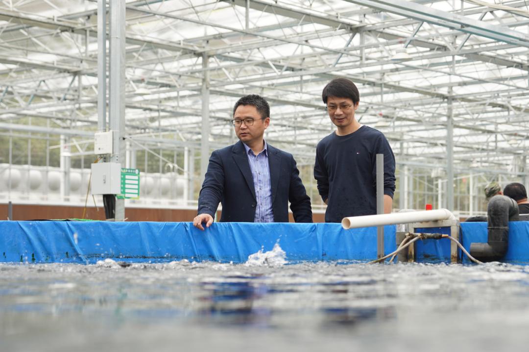 有关乡村振兴的创业机会,调研乡村特色发掘乡村创业机会