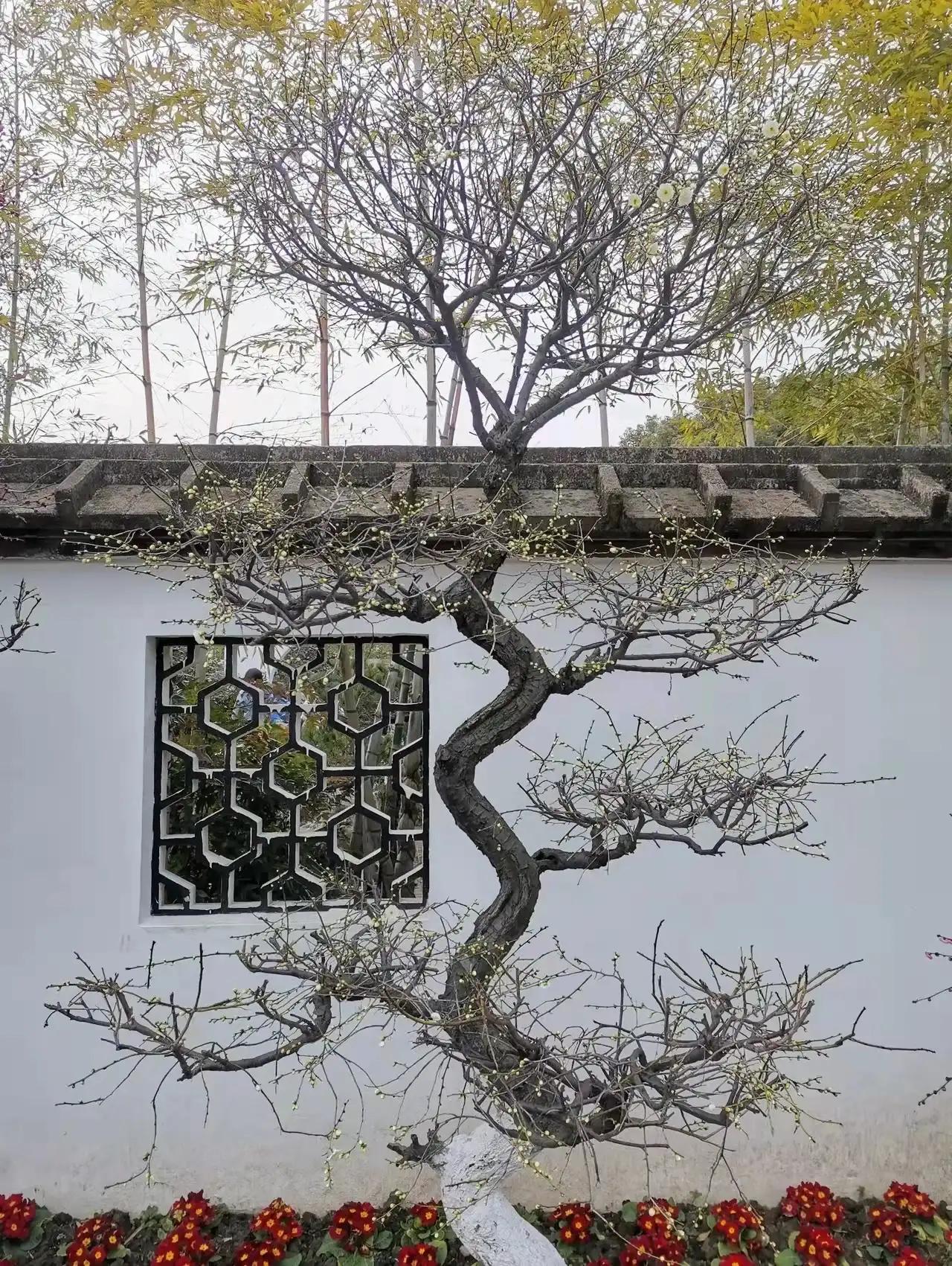 七绝春日二首原创,春日七绝诗十首