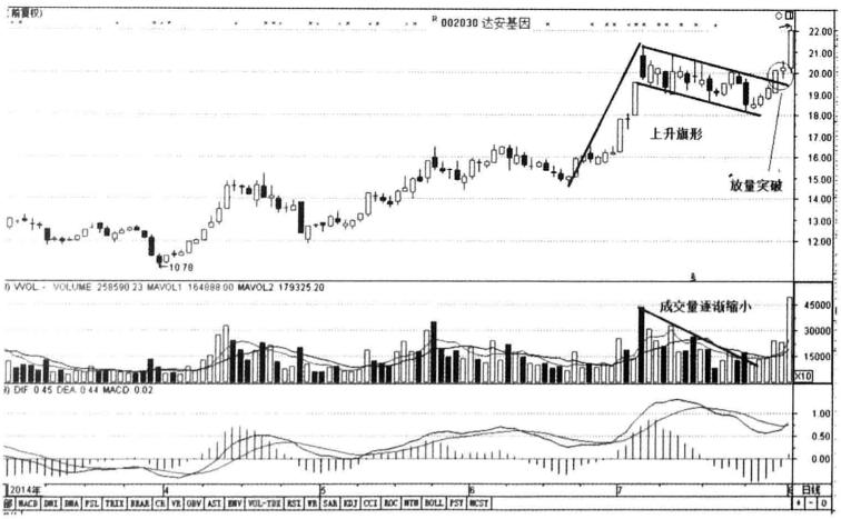 缩量下跌和缩量上涨意味着什么,当你把反弹练到极致的时候
