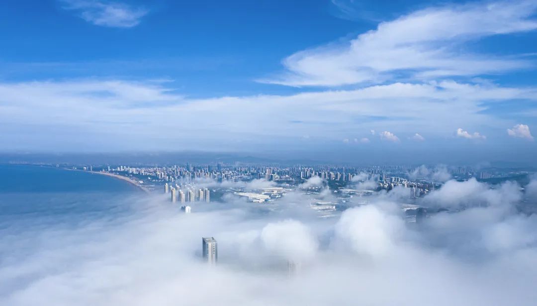 因音乐而感动,因音乐相聚在一起