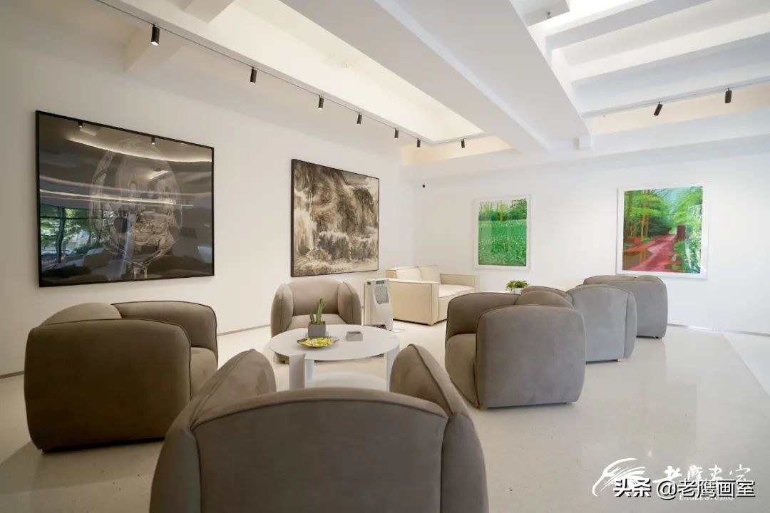 老鹰画室精品班和进阶班,成都老鹰画室和成都艺考画室