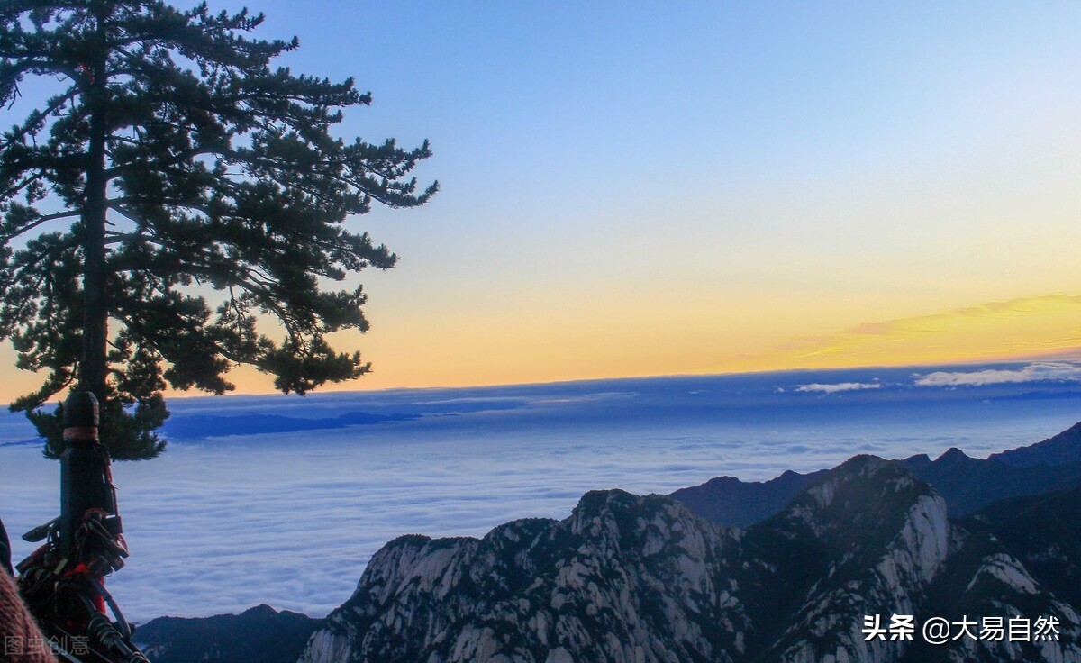 道德经负阴而抱阳讲解,万物负阴抱阳是道德经第几章说的