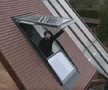 不想做胖子，不运动怎么才能咔咔瘦，网友神回复