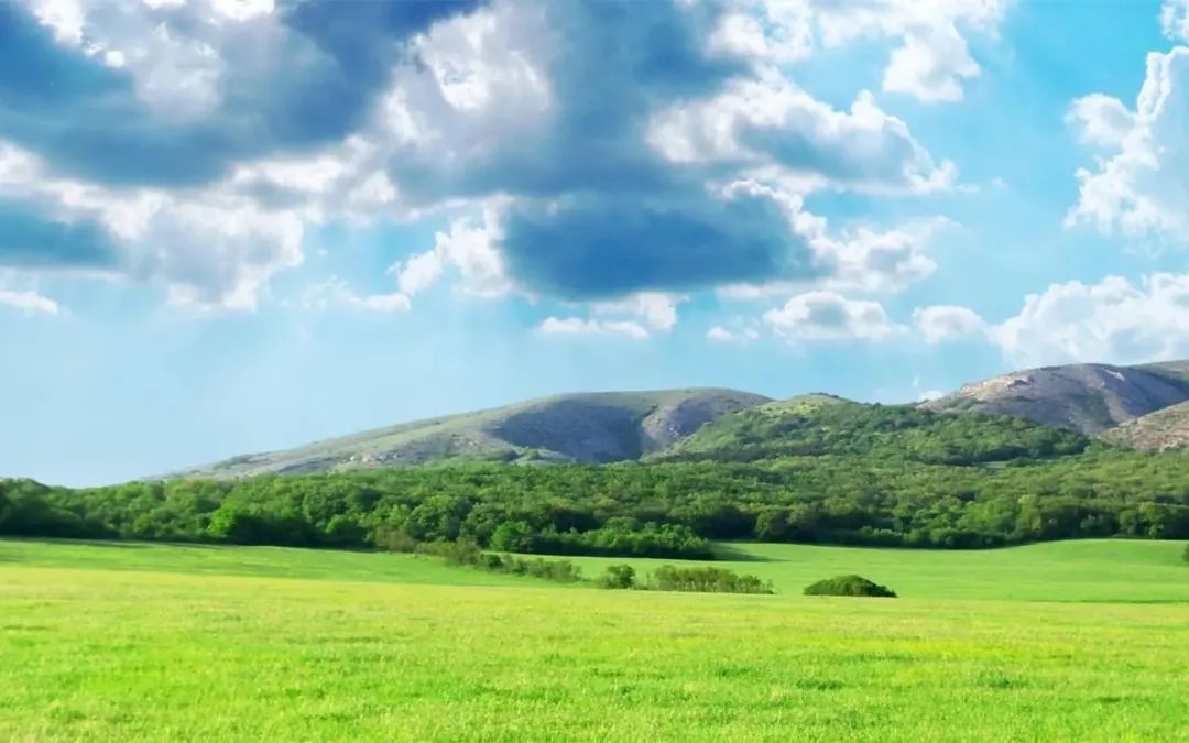 四年级期末作文必考我的乐园,我的乐园作文四年级400字范文菜地