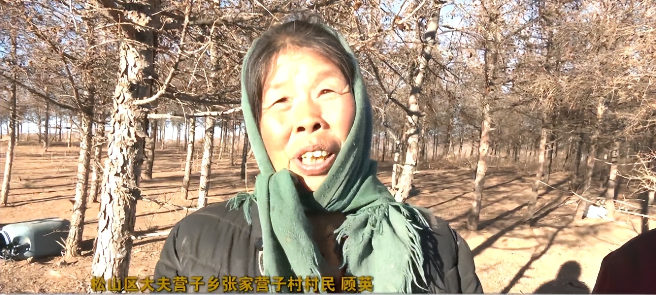 新春走基层振兴路越来越宽,新春走基层致敬中国追梦人