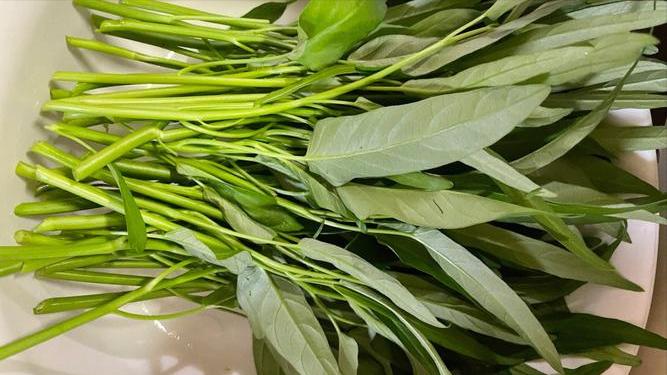 小满将至，新手在家，这6种菜放心种，易种活还不用打农药！