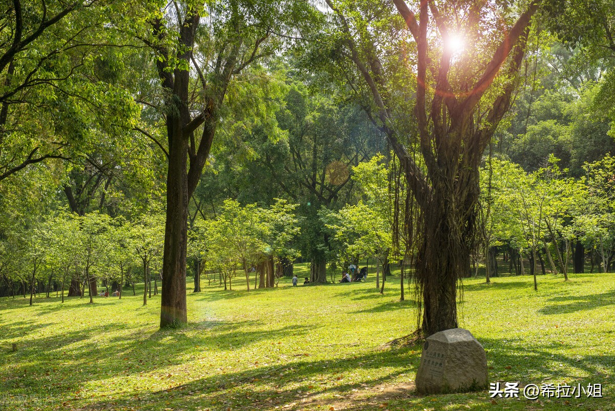 广州最值得去的景点旅游攻略,旅游攻略广州必去的六大景点