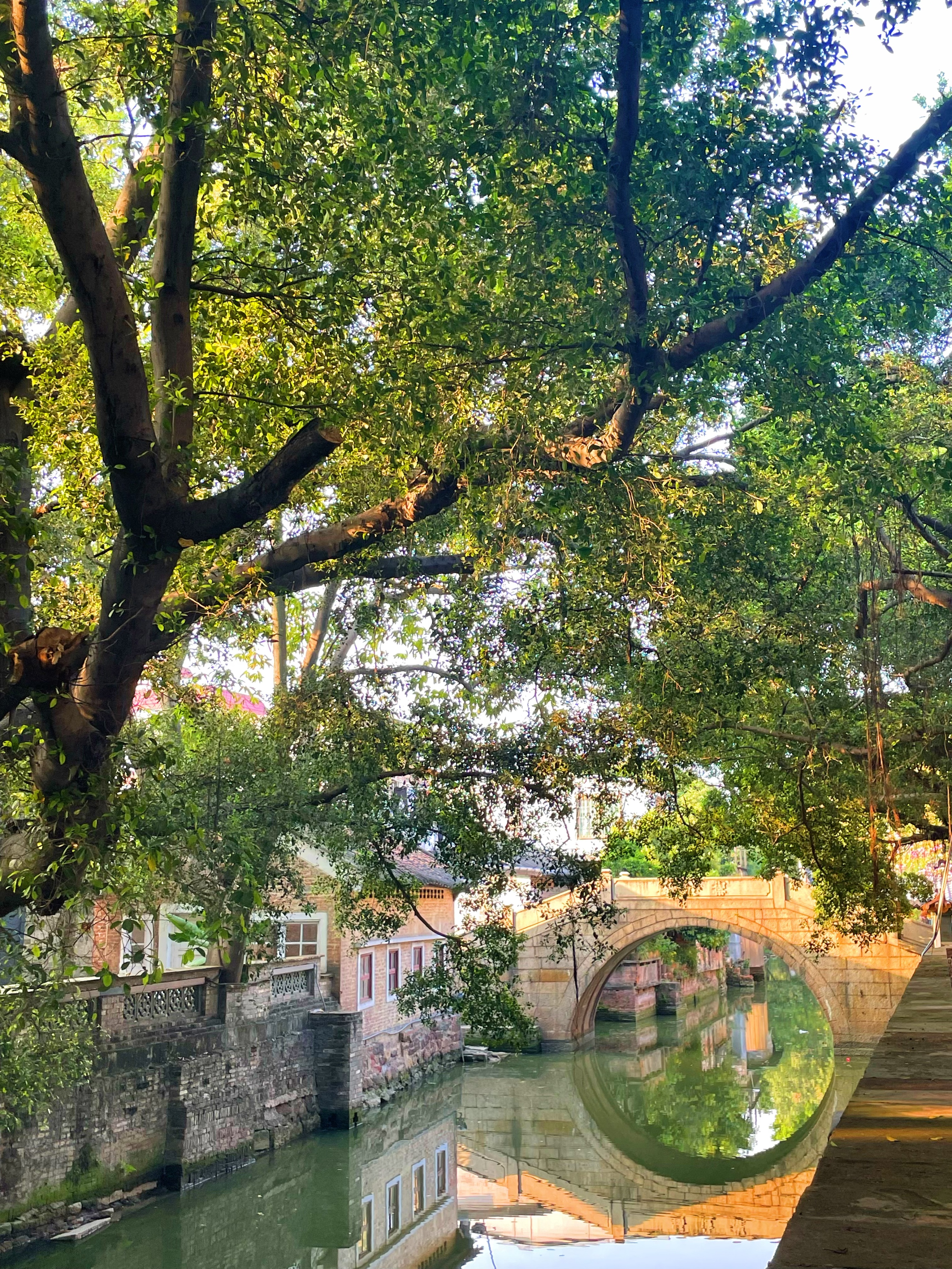 顺德渔人码头游玩攻略,顺德游玩攻略景点大全