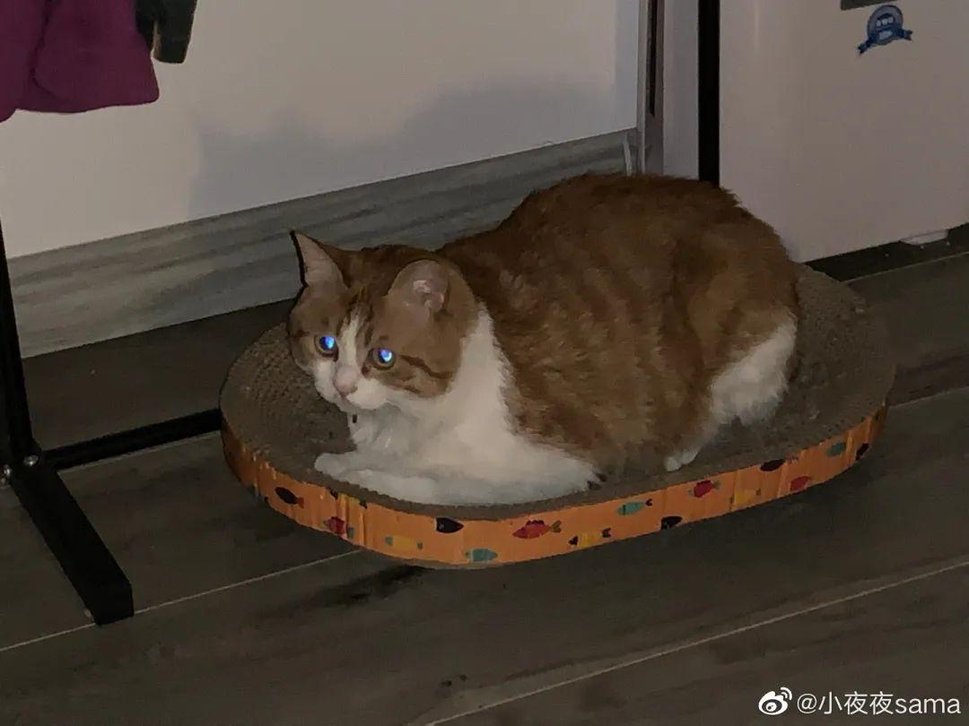 每日一笑最新段子,段子每日一笑