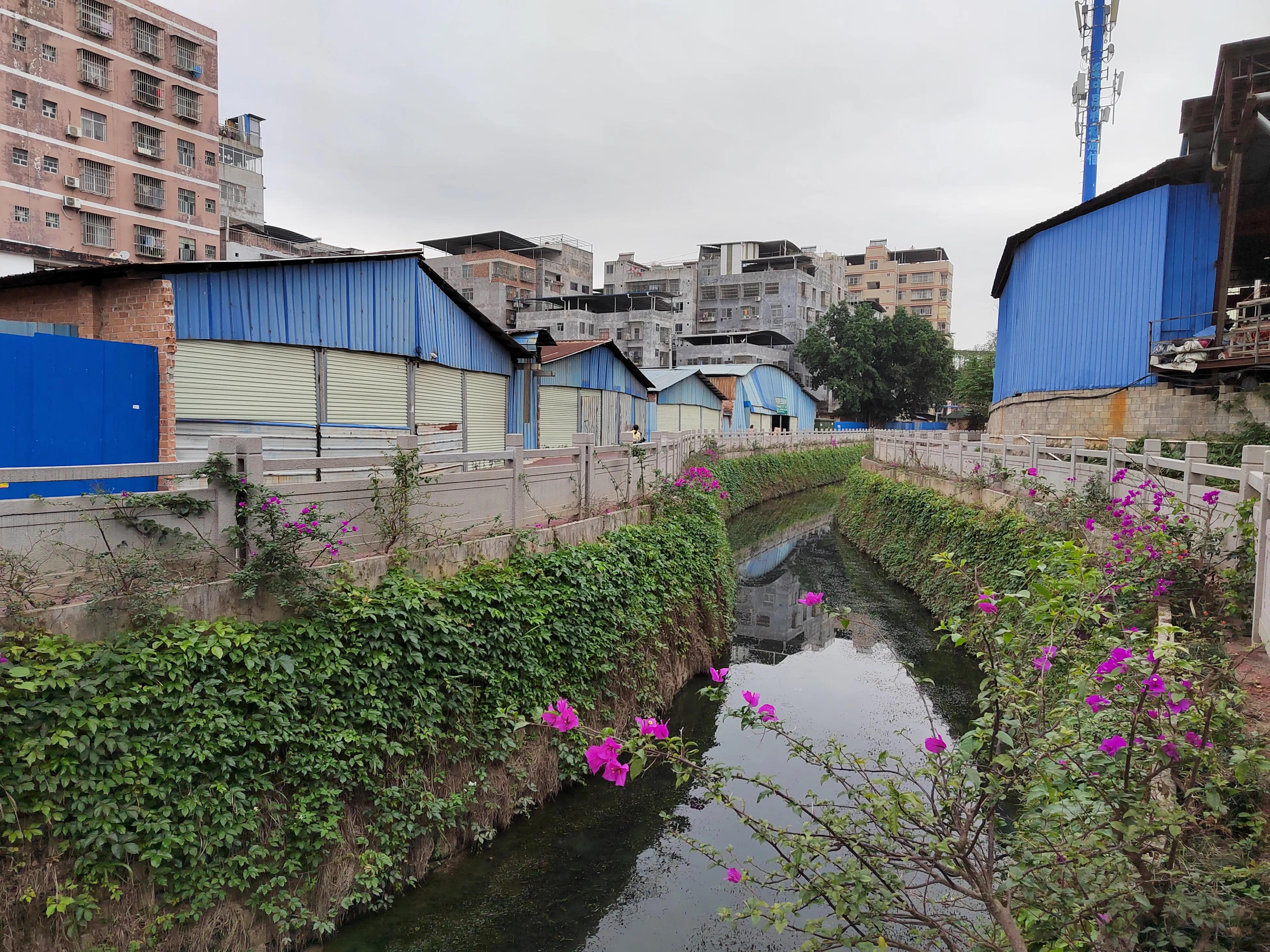 南宁城中村分红最多,南宁城中村一年收入