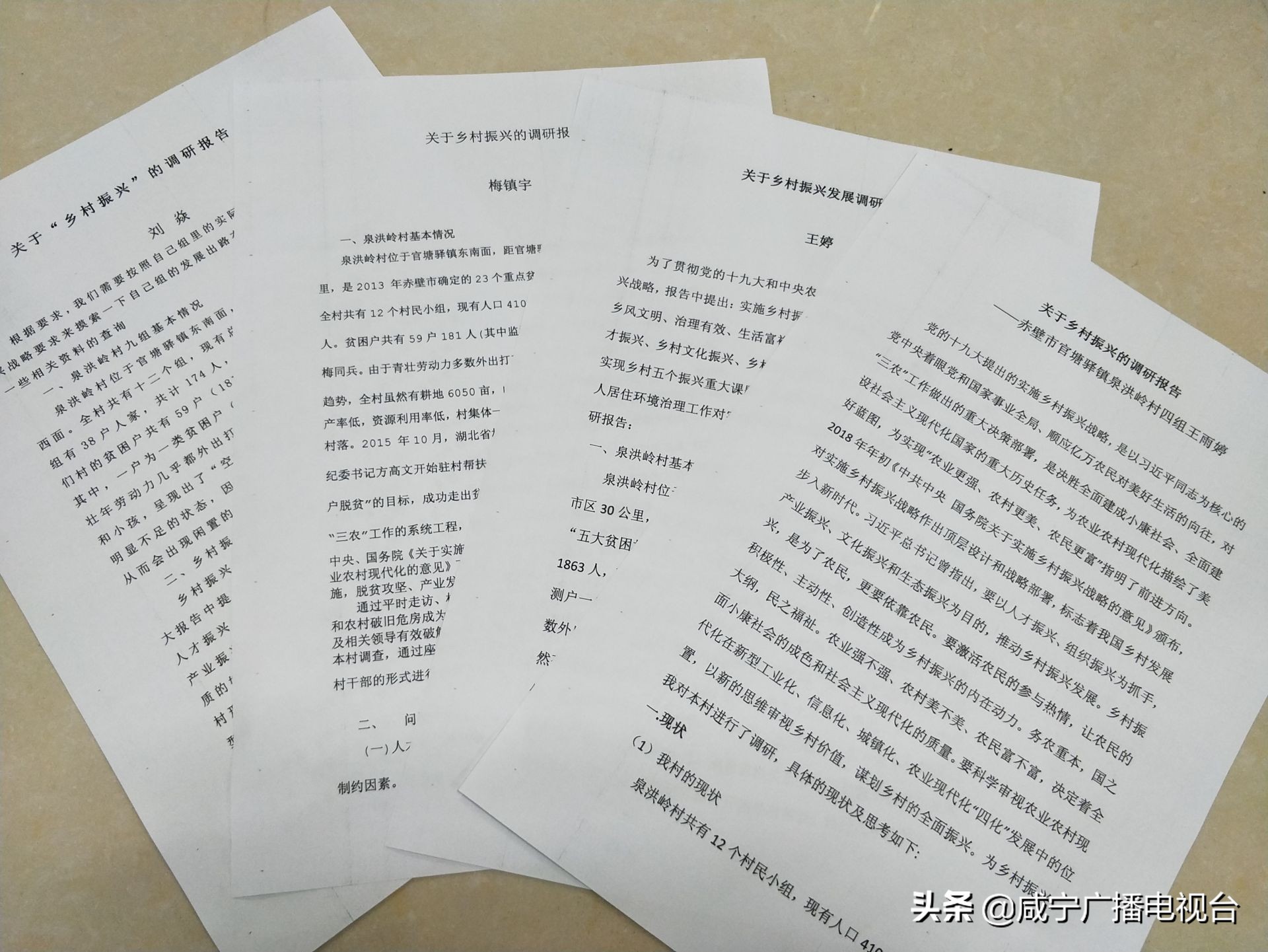 新春走基层|关心支持家乡发展泉洪岭村四位大学生撰写乡村振兴调研报告