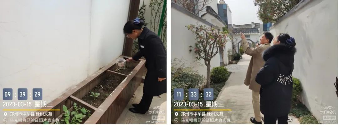 春天藏在温暖的阳光里,春天藏在生活里