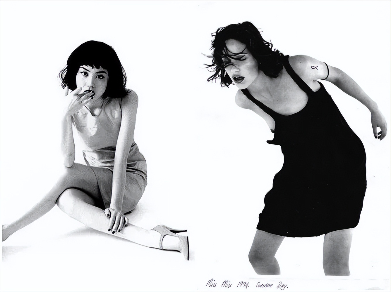 锋菲20年前,锋菲重逢