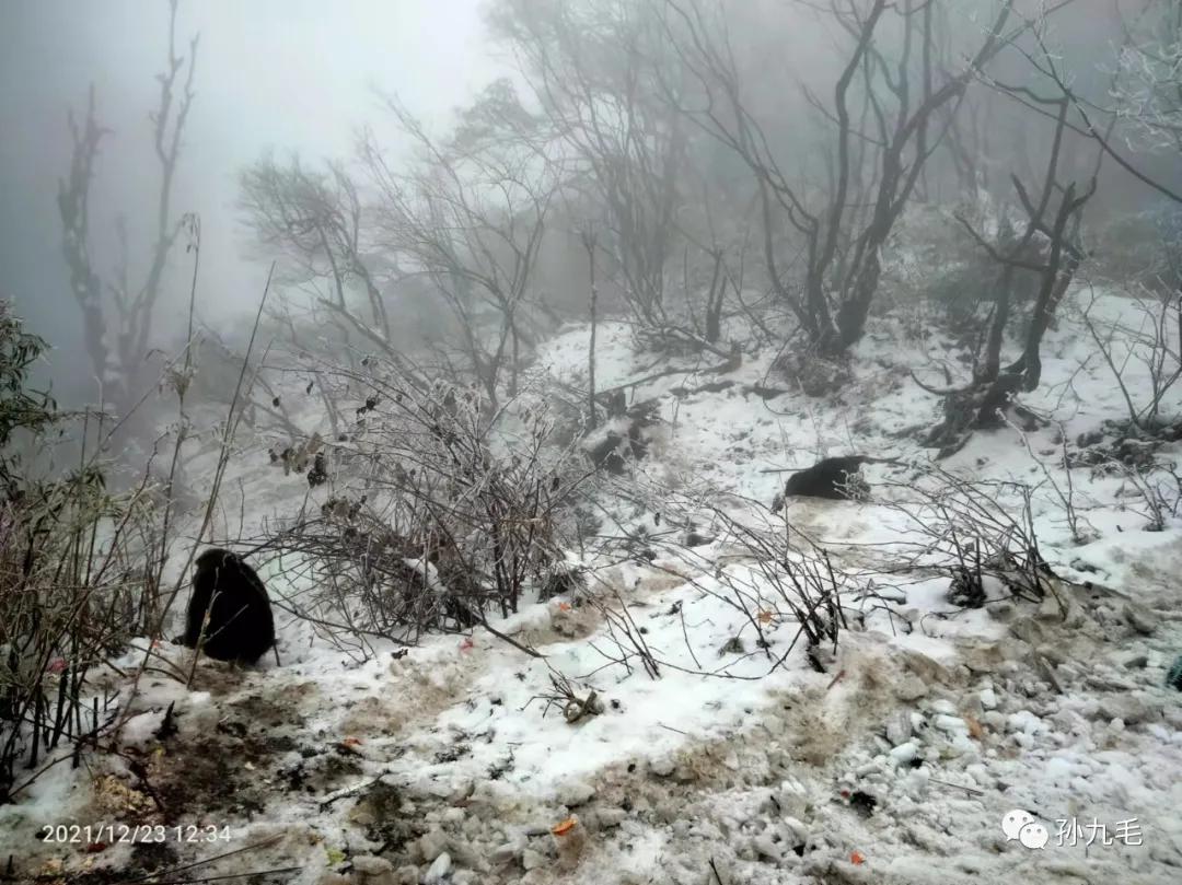 廉价旅行团的真实感受,不购物的廉价旅游团内幕