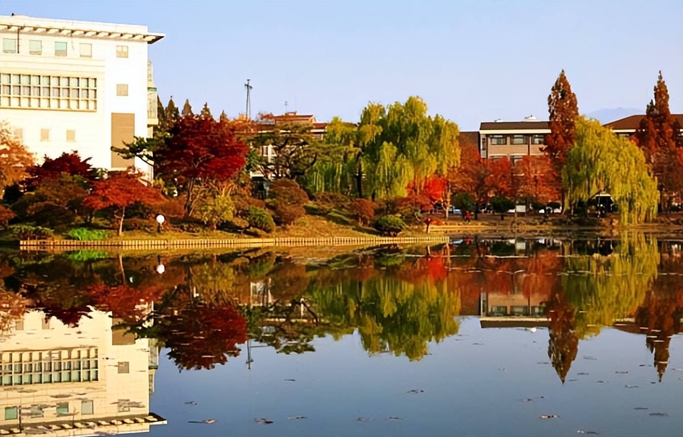 山东理工大学韩国留学合作院校：国立全南大学