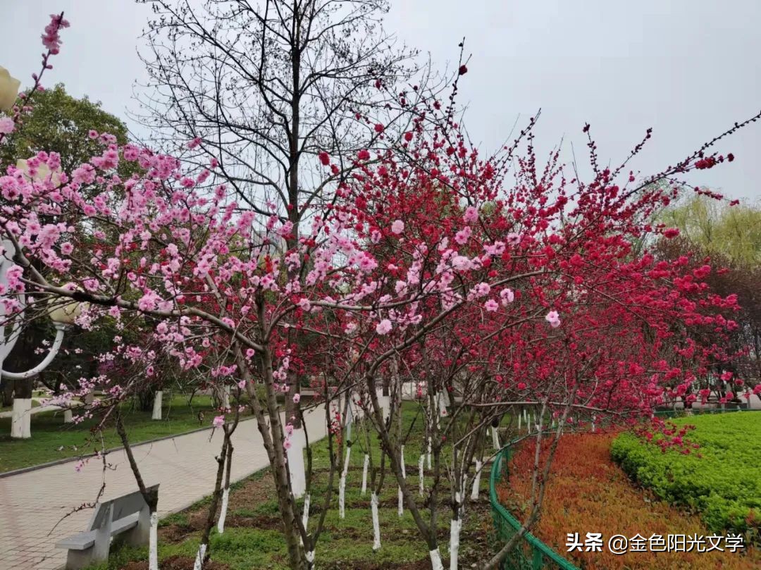 那一刻我长大了400字五年级,那一刻我长大了作文500字