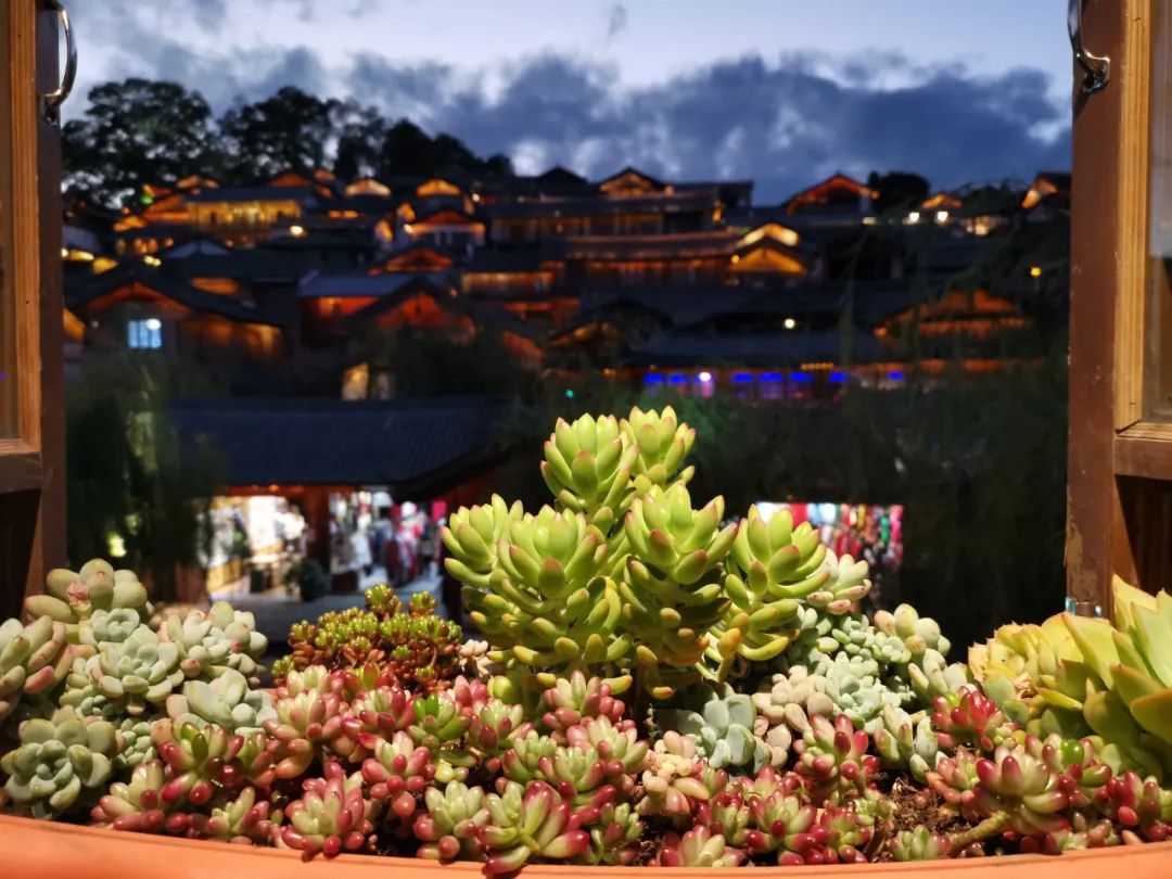 彩云之南雪山之巅,邂逅丽江慢时光