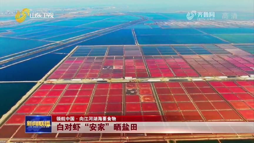 也是有故事的“鱼虾蟹”，看山东怎样向江河湖海要食物