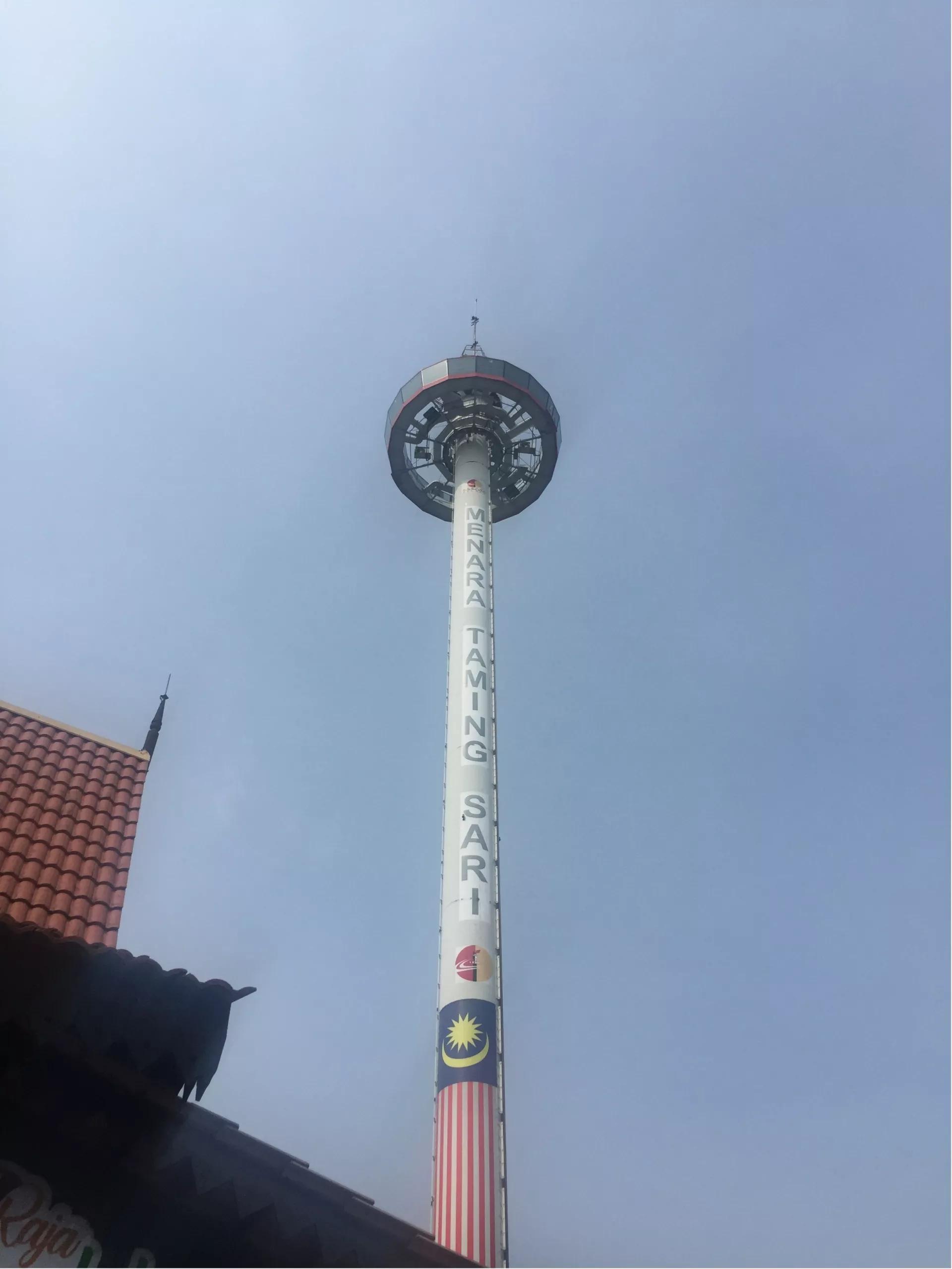 钱猫猫王者荣耀,钱猫猫的视频