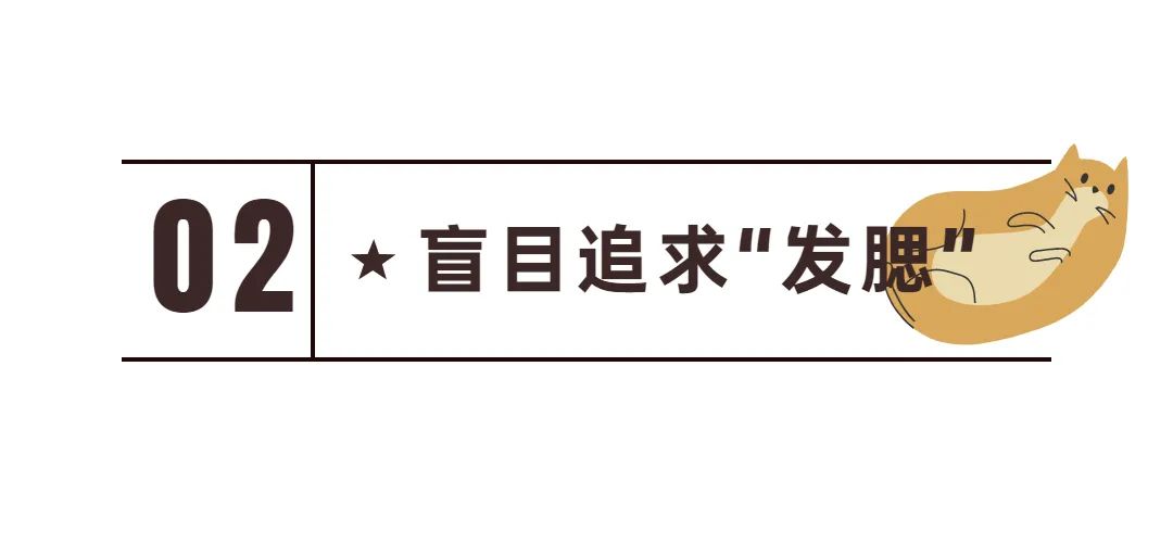 新手常见的害猫行为,看似爱猫实测害猫的五个行为